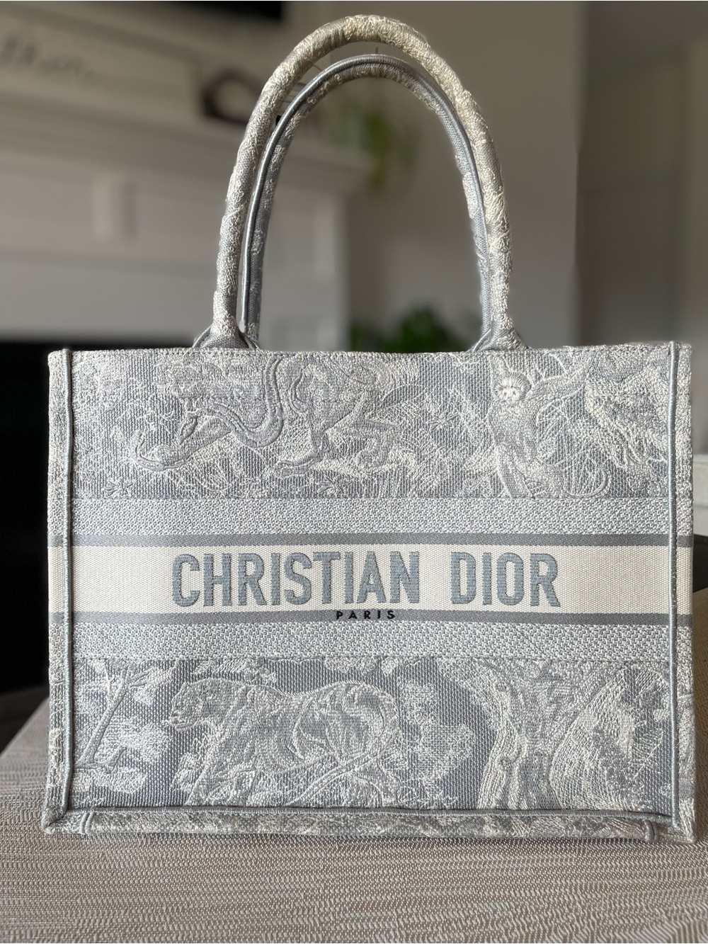 Dior Embroidered Book Tote with Scarf-Wrapped Handles - Picture 6 of 14